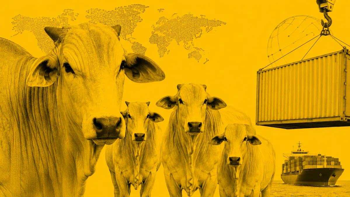 União Europeia mantém suspensão de importação de carne brasileira a partir desta quinta-feira